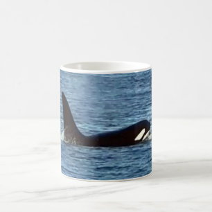Anpassbarer Aquarius West Coast Killer Whale Beche Kaffeetasse