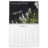 Anpassbarer Fehlerkalender Kalender (Jan 2027)