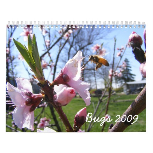 Anpassbarer Fehlerkalender Kalender (Titelbild)