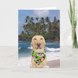 Anpassbarer hawaiianischer Gelbe Labrador zum Gebu Karte