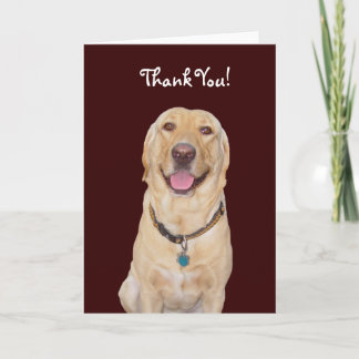 Anpassbarer Hund/Labrador "Danke!" Dankeskarte