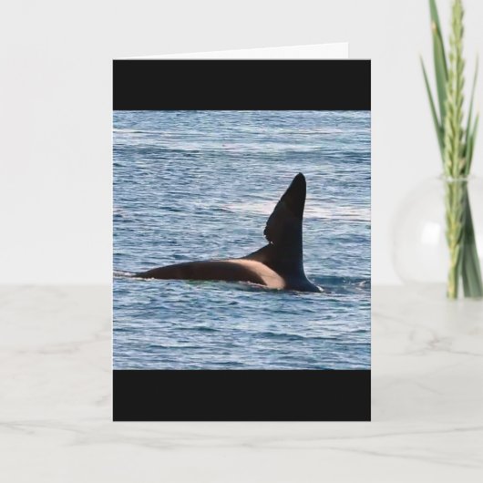 Anpassbarer John Coe Killerwal Westküste Orca Karte (Vorderseite)