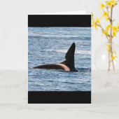 Anpassbarer John Coe Killerwal Westküste Orca Karte (Gelbe Blume)