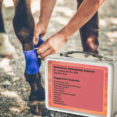 Anpassbarer Notcontainer für PferdeEquity Metall Brotdose