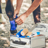 Anpassbarer Notcontainer für PferdeEquity Metall Brotdose