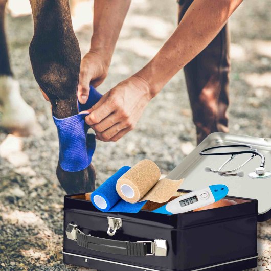 Anpassbarer Notcontainer für PferdeEquity Metall Brotdose