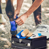 Anpassbarer Notcontainer für PferdeEquity Metall Brotdose