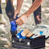 Anpassbarer Notcontainer für PferdeEquity Metall Brotdose