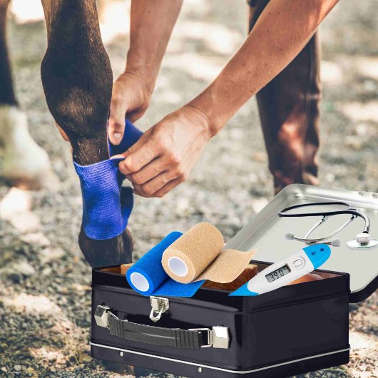 Anpassbarer Notcontainer für PferdeEquity Metall Brotdose