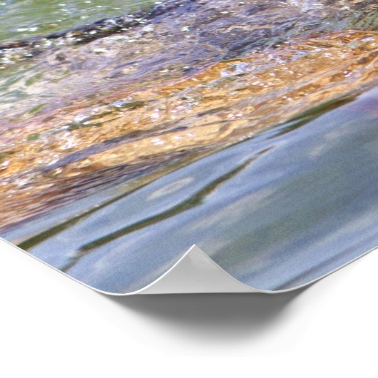 Anpassbares Dog Teamwork Poster (Ecke)