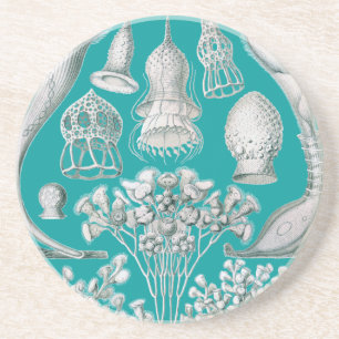 Anpassbares Haeckel Getränkeuntersetzer
