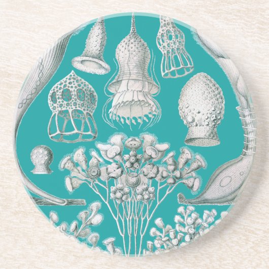 Anpassbares Haeckel Getränkeuntersetzer (Vorne)
