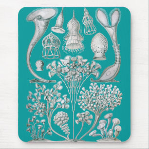 Anpassbares Haeckel Mousepad