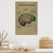Anpassbares Human Brain Poster, bearbeiten Sie die Poster (Küche)