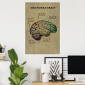 Anpassbares Human Brain Poster, bearbeiten Sie die Poster (Heimbüro)