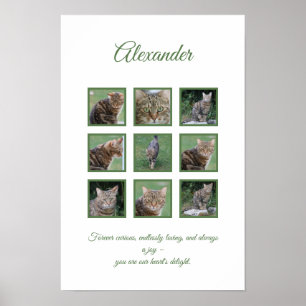 Anpassbares Poster zur Feier des Haustieres