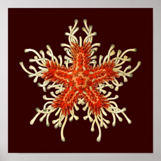 Anpassbares Vintage Haeckel Poster (Vorne)