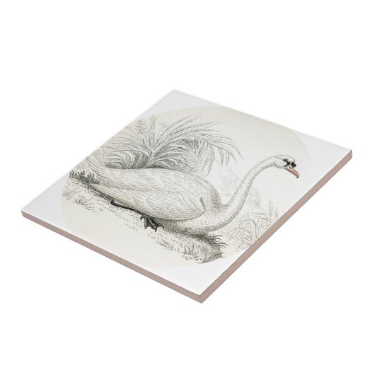 Anpassen atemberaubender Vintager Kunstschwan Fliese (Seite)