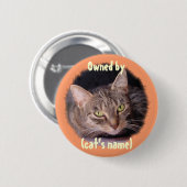 Anpassen Button (Vorne & Hinten)