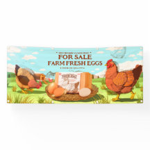 Anpassen der Bio Frische Eier Käfig frei