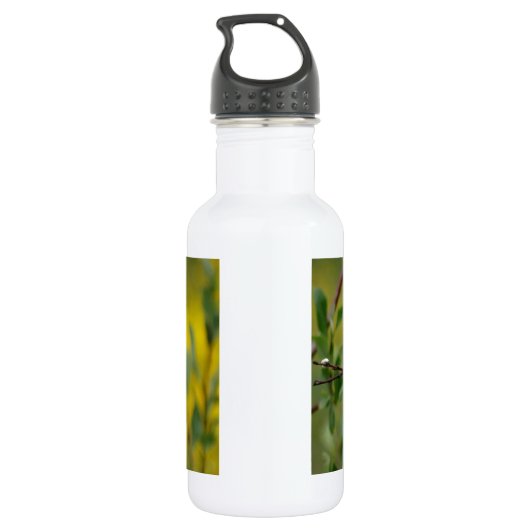 Anpassen Edelstahlflasche (Rückseite)