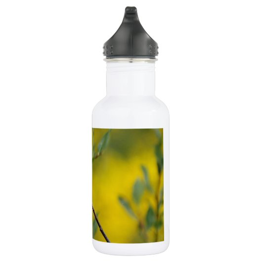 Anpassen Edelstahlflasche (Rechts)