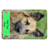 Anpassen eines Fotos für Familienmitglieder Magnet (Horizontal)