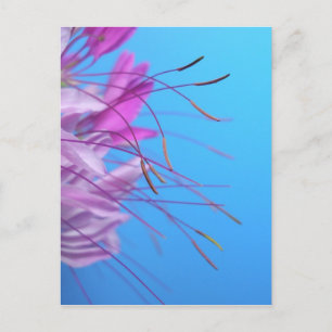 Anpassen mit eigener Nachricht Postkarte