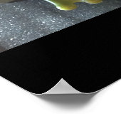 Anpassen von Froschplakaten an die Schule Poster (Ecke)