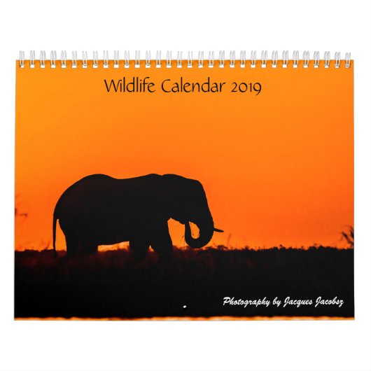 Anpassungskalender für Wildtiere Kalender (Titelbild)