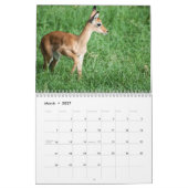Anpassungskalender für Wildtiere Kalender (Mär 2027)