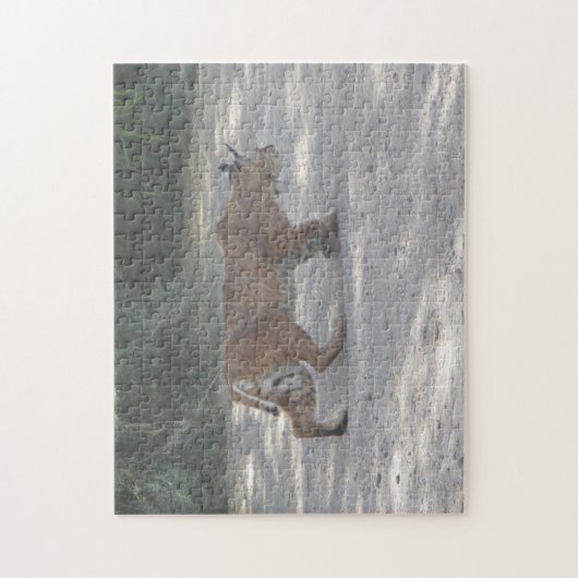 Anpirschender Rotluchs Puzzle (Vertikal)