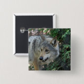 Anpirschendes Wolf-Button Button (Vorne & Hinten)