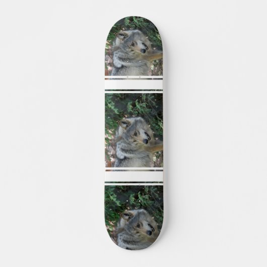 Anpirschendes Wolf-Skateboard Skateboard (Vorne)
