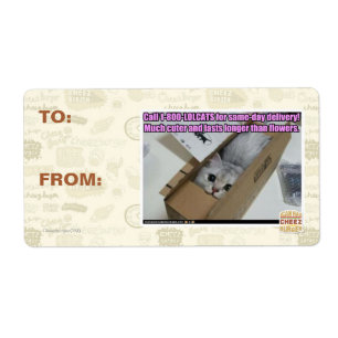 Anruf 1-800-LOLCATS