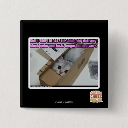 Anruf 1-800-LOLCATS Button (Vorderseite)