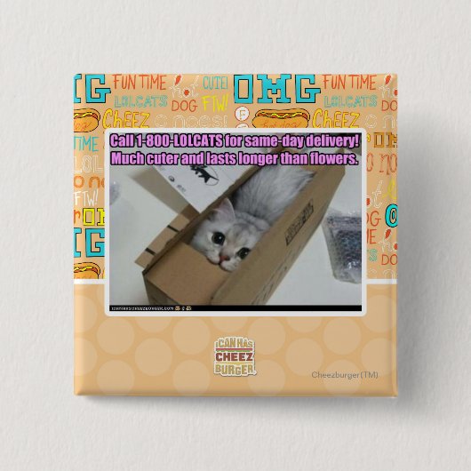 Anruf 1-800-LOLCATS Button (Vorderseite)