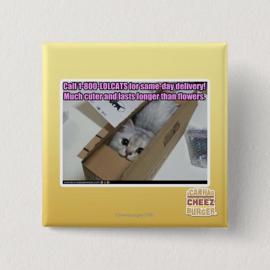 Anruf 1-800-LOLCATS Button (Vorderseite)