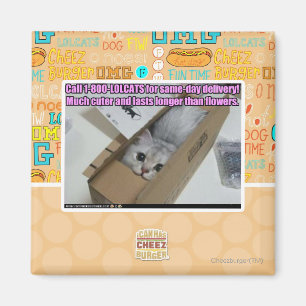 Anruf 1-800-LOLCATS Magnet