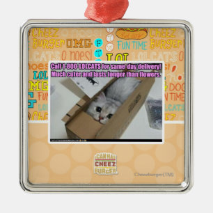 Anruf 1-800-LOLCATS Silbernes Ornament