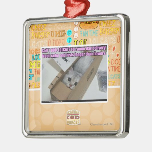 Anruf 1-800-LOLCATS Silbernes Ornament (Links)