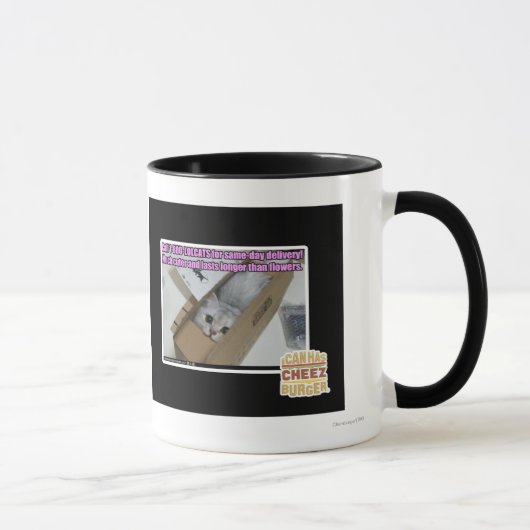 Anruf 1-800-LOLCATS Tasse (Rechts)