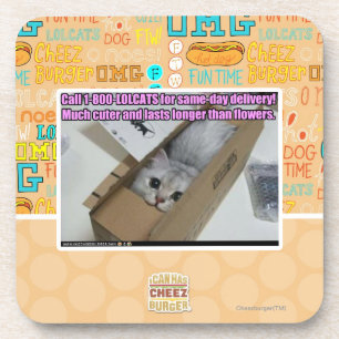 Anruf 1-800-LOLCATS Untersetzer