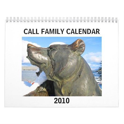 Anruf-Familien-Kalender 2010 Kalender (Titelbild)
