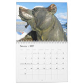 Anruf-Familien-Kalender 2010 Kalender (Feb 2027)