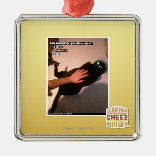 Anruf MIB Silbernes Ornament (Vorne)