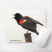 Anruf vom wilden mousepad (Mit Mouse)