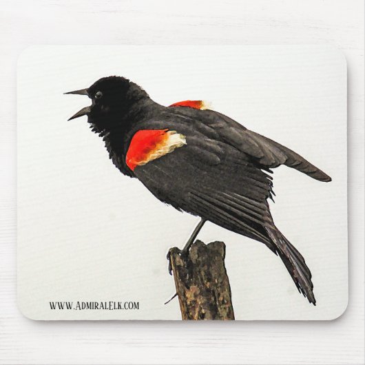 Anruf vom wilden mousepad (Vorne)