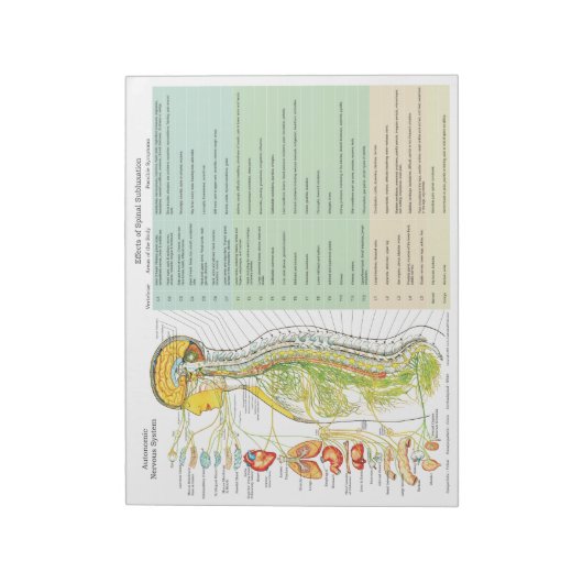 ANS Subluxation Effects Reißen von Pads Notizblock (Rotiert)