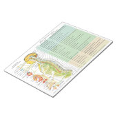 ANS Subluxation Effects Reißen von Pads Notizblock (angewinkelt)